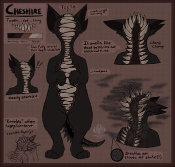 Mirrored front view w/ 3 headshots and extra info